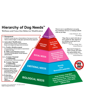 Hierarchy of Dog Needs
