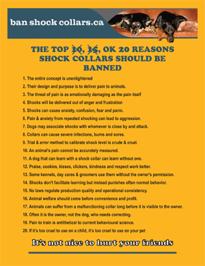 THE TOP 20 REASONS SHOCK COLLARS SHOULD BE BANNED