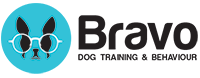 Bravo Dog Training