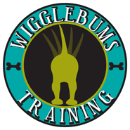 WiggleBums Training